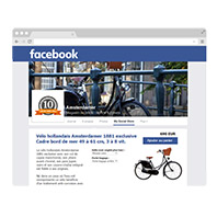 Facebook Social Store