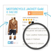 Website Design Website Design