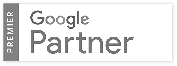 Google partner - eCommerce Training