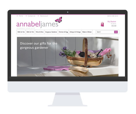 Dynamic Ecommerce Websites