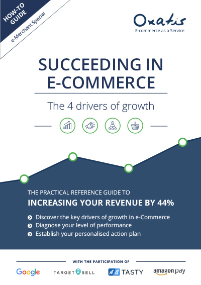 Guide: Succeeding in e-Commerce